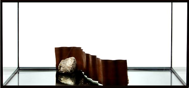 zakładanie akwarium roślinnego