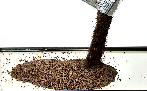 zakładanie i serwis akwari&oacute;w roślinnych