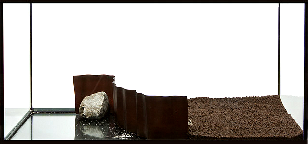 zakładanie i serwis akwari&oacute;w roślinnych