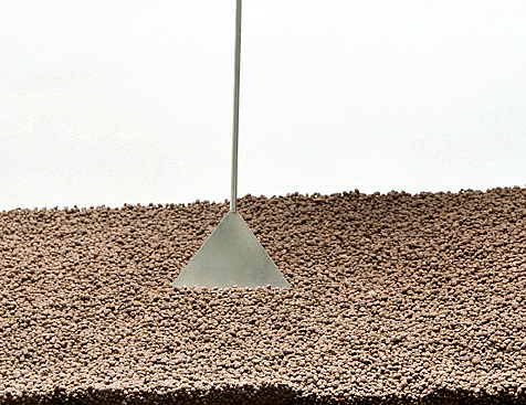 zakładanie i serwis akwari&oacute;w roślinnych