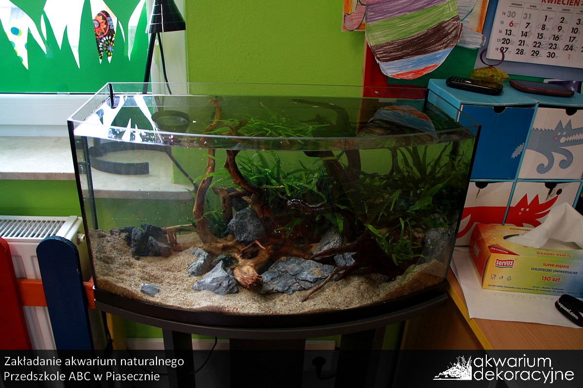 zakładanie akwarium naturalnego piaseczno akwarium dekoracyjne 13